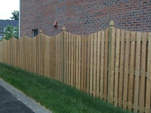 Best Fence for Dogs
