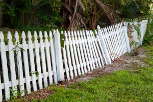 Rotting Fence Posts