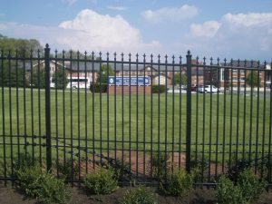 Wrought Iron Fence