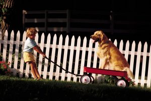 Tips for Building Your Fence on a Slope