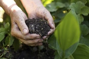 Protecting Your Wood Fence from Soil Erosion 