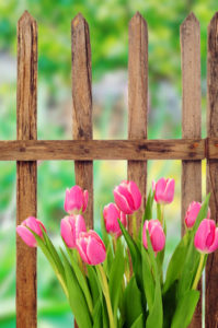 3 Ways a Fence Benefits Your Property