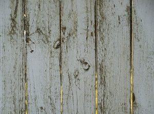 Dealing with Mold On Your Fence