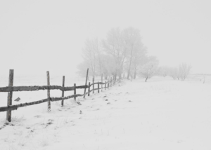 Fences That Do Well in Cold Weather