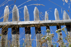 What You Should Do If Wind Blows Your Fence Over