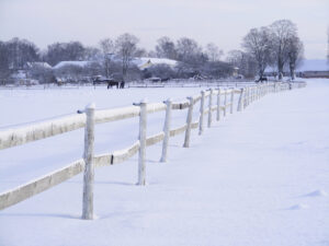 white wooden fence in snowy field