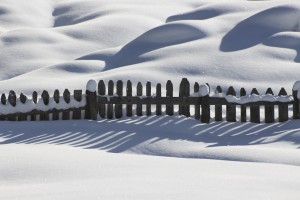 Wooden Fence in the Winter