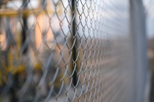 Chain Link Fence