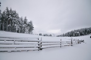 Snow fencing installation