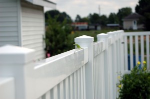 vinyl fence