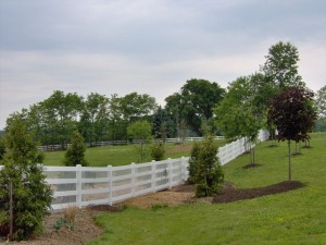 Fence Repair vs. Fence Replacement