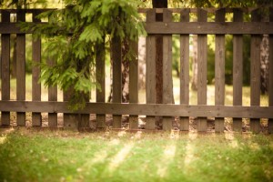 Keep your wood fence looking great by maintaining it this summer.