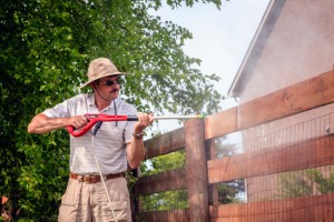 Fence cleaning