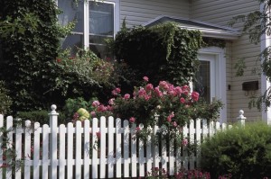 Tearing Down Old Fence